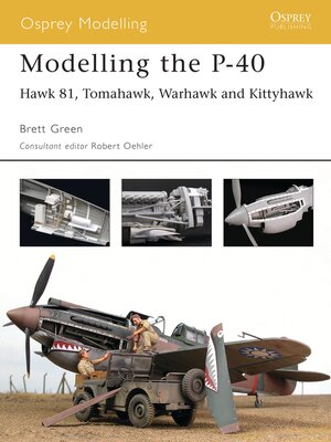 cover image of Modelling the P-40
